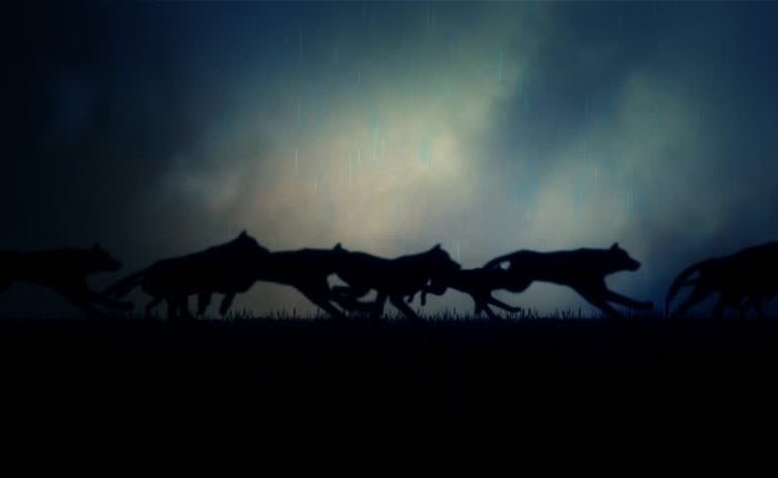 Cadencia de los liderazgos…